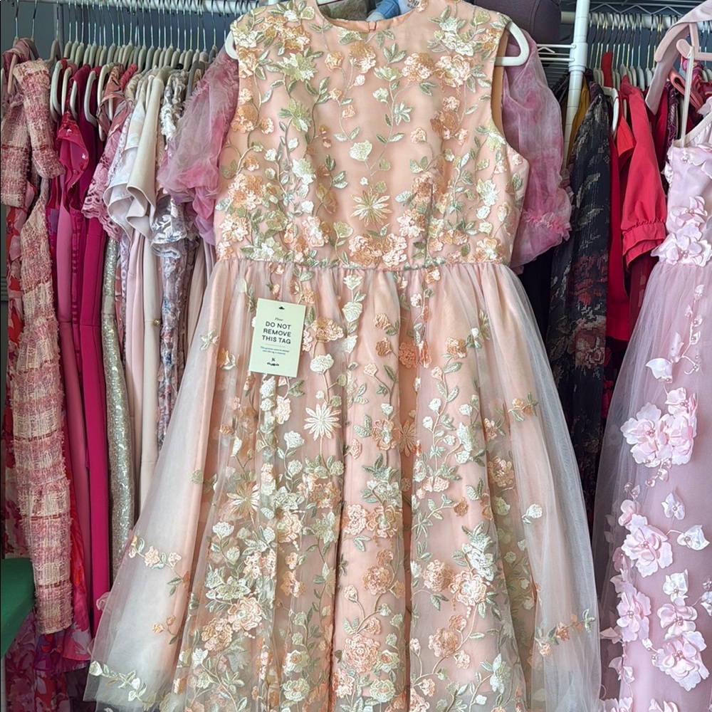 JessaKae Blush Pink Floral Embroidered Tulle Dress
